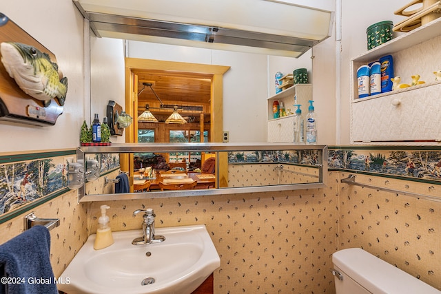 bathroom with sink and toilet