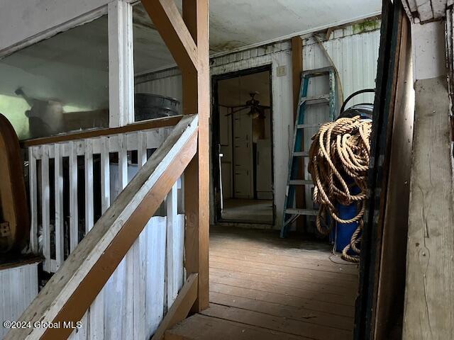 view of horse barn