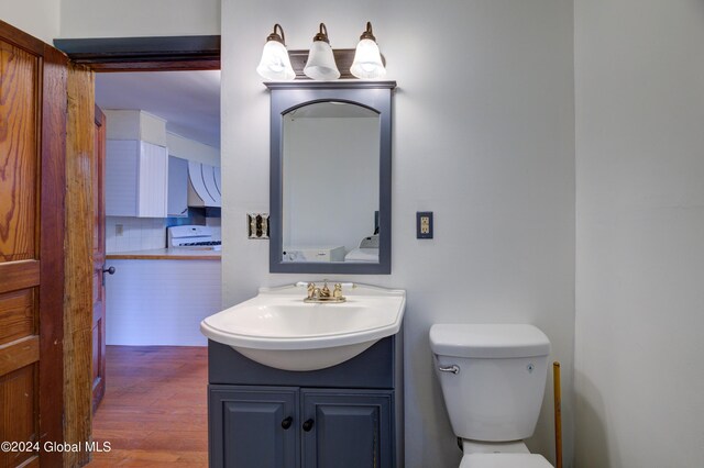 bathroom with vanity, toilet, and wood-type flooring