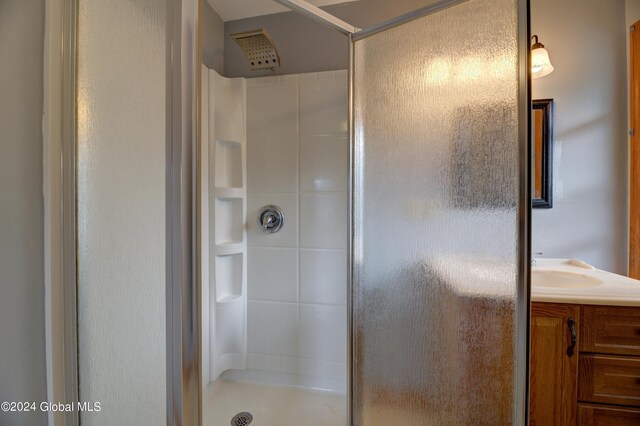 bathroom with a shower and vanity