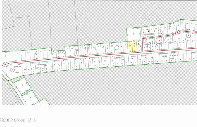 L20 Alderwood Park Rd, Caroga NY, 12032 land for sale