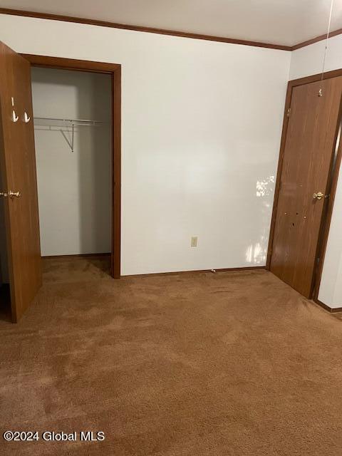 unfurnished bedroom with carpet flooring, ornamental molding, and a closet