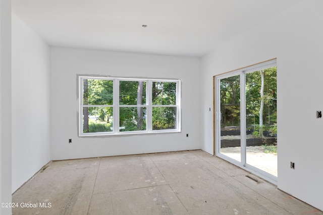 spare room with a wealth of natural light