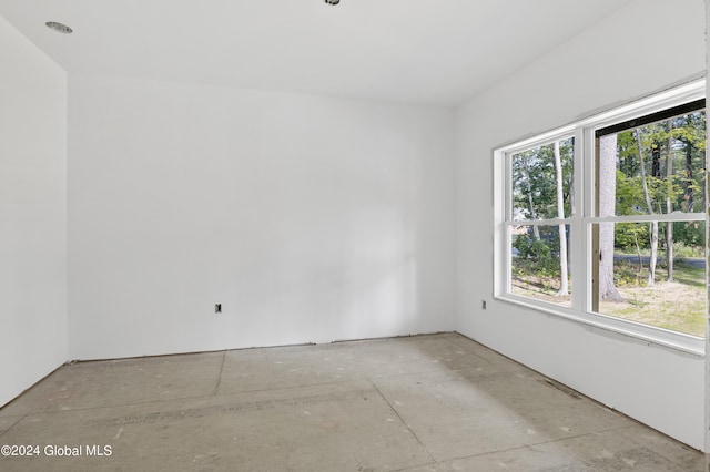 spare room featuring a wealth of natural light