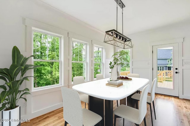 dining space featuring light hardwood / wood-style floors and a healthy amount of sunlight