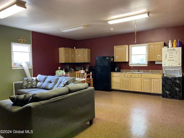 living room featuring a healthy amount of sunlight and sink