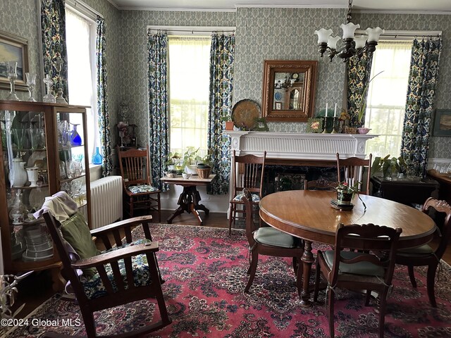 dining space with a healthy amount of sunlight, an inviting chandelier, radiator heating unit, and wood-type flooring