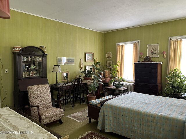 bedroom featuring radiator and carpet flooring