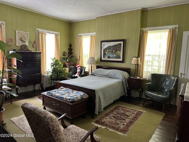 bedroom with multiple windows, radiator heating unit, and crown molding