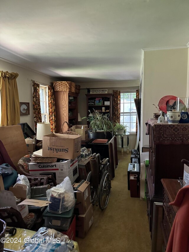 carpeted living room with ornamental molding