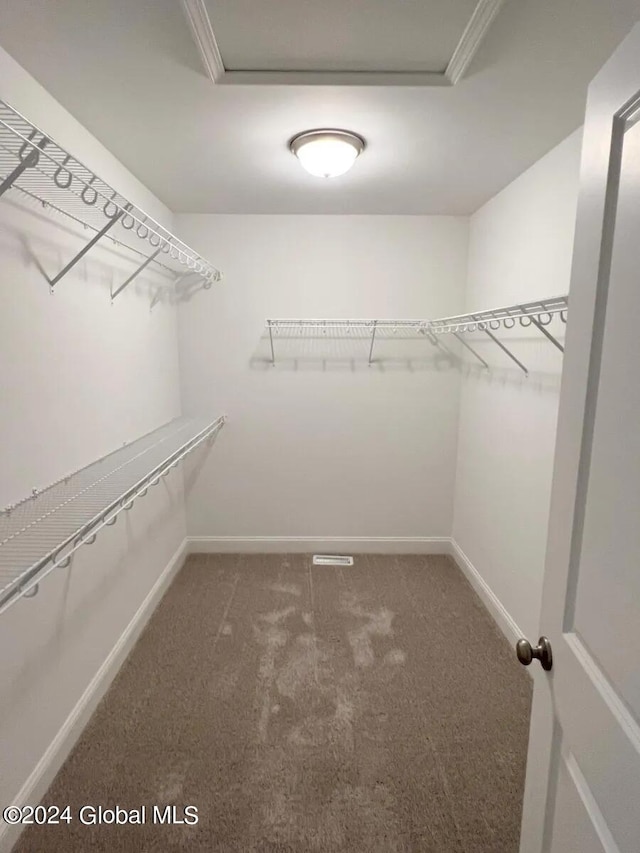 walk in closet with dark carpet