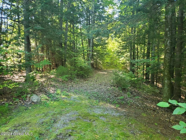 Listing photo 3 for L10.4 Lake Winds Rd, Bolton NY 12824