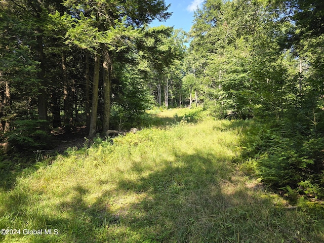 Listing photo 2 for L3.2 Black River Rd, Stephentown NY 12169