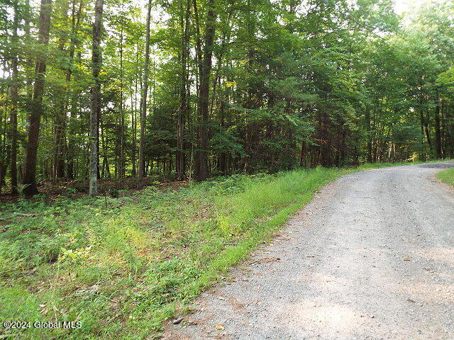 L41 Hunter Heights Rd, Northville NY, 12134 land for sale