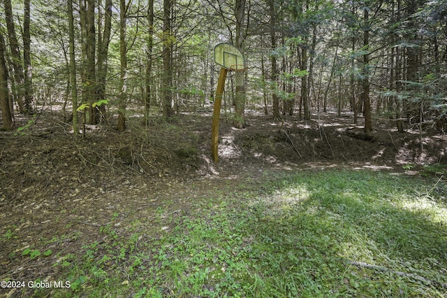 135 Sparrowhawk Lake Rd, Maryland, NY 12155 - view of local wilderness with a wooded view
