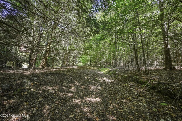 135 Sparrowhawk Lake Rd, Maryland, NY 12155 - view of landscape with a forest view