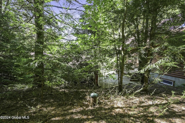 135 Sparrowhawk Lake Rd, Maryland, NY 12155 - view of nature featuring a forest view