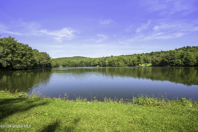 135 Sparrowhawk Lake Rd, Maryland, NY 12155 - property view of water featuring a forest view