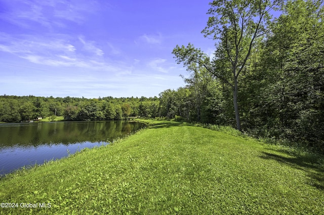 135 Sparrowhawk Lake Rd, Maryland, NY 12155 - view of water feature with a view of trees