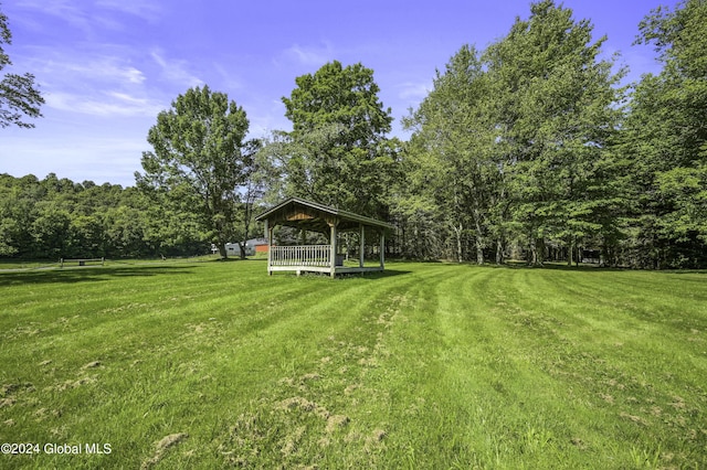 135 Sparrowhawk Lake Rd, Maryland, NY 12155 - view of yard