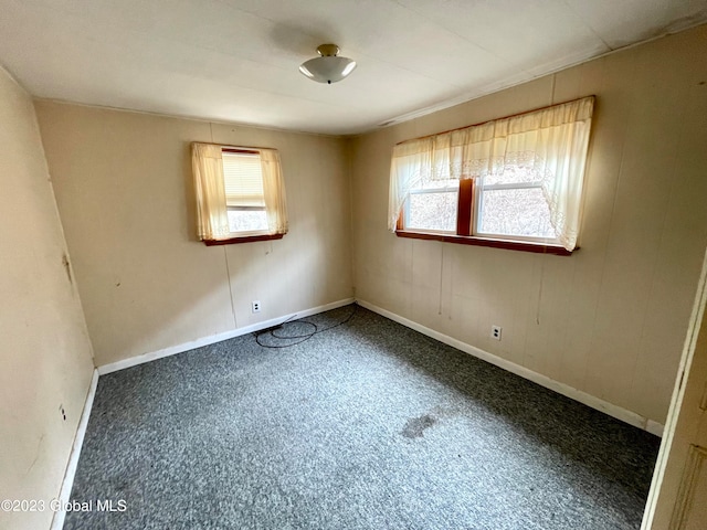 spare room with carpet floors