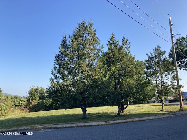 L14.200 Treadway St, Ticonderoga, NY 12883 - photo 1