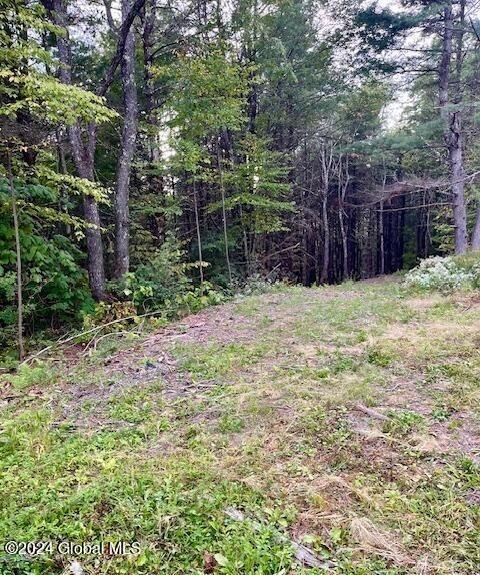 Listing photo 2 for L67 Old Ghost Rd Lot 6, New Lebanon NY 12125