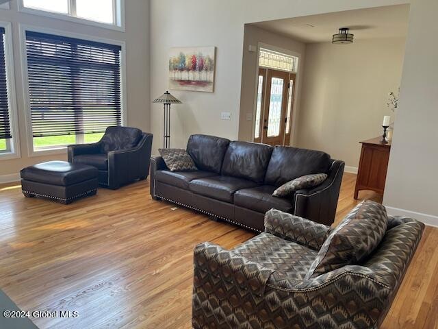 living room with wood-type flooring