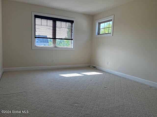 spare room with carpet