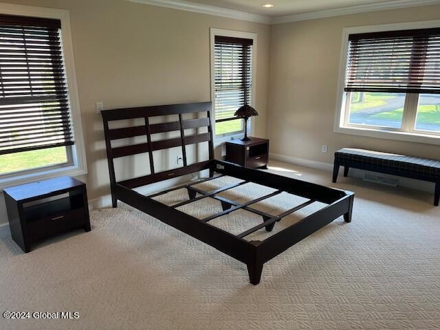 bedroom with crown molding, carpet floors, and multiple windows