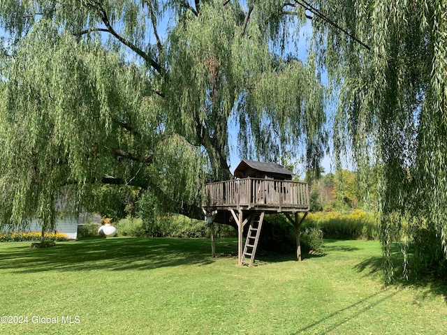 view of yard with a wooden deck