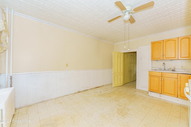 kitchen featuring ornamental molding, ceiling fan, and sink