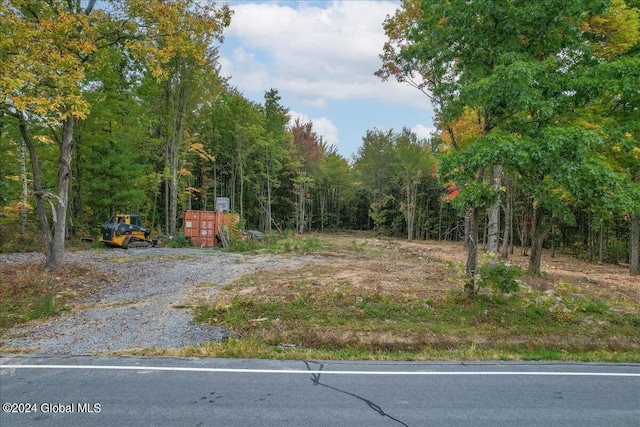 view of yard with a forest view