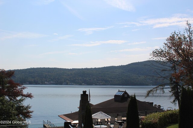 water view featuring a dock