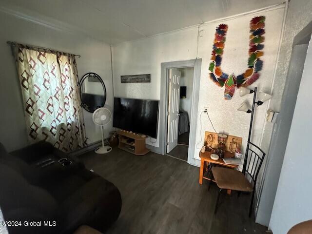 living room with dark hardwood / wood-style flooring