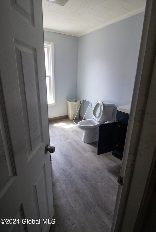 bathroom featuring wood-type flooring, vanity, crown molding, and toilet