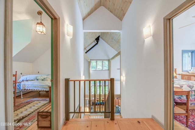 corridor featuring hardwood / wood-style floors, high vaulted ceiling, and plenty of natural light