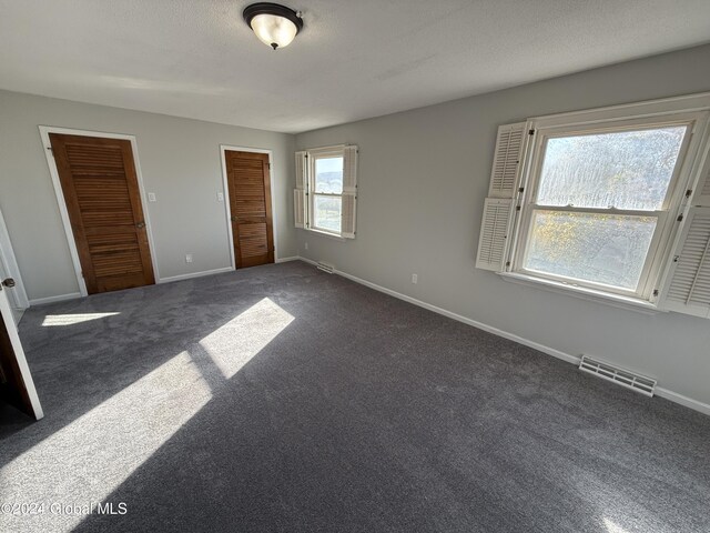 25 Kling Ter, Voorheesville, NY 12186 - unfurnished bedroom with baseboards, dark colored carpet, and multiple closets