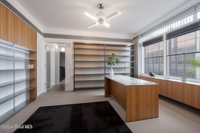 unfurnished office with light colored carpet and ceiling fan