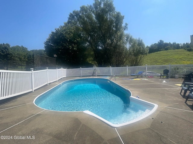 view of pool featuring a patio