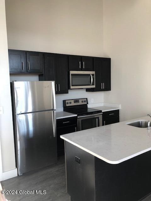 kitchen featuring appliances with stainless steel finishes, hardwood / wood-style floors, and sink