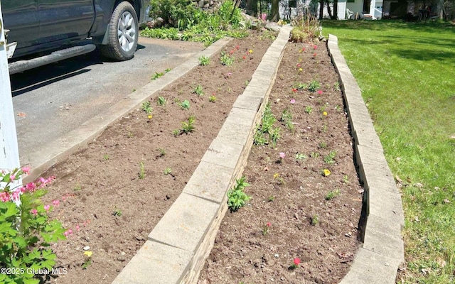 view of grassy yard