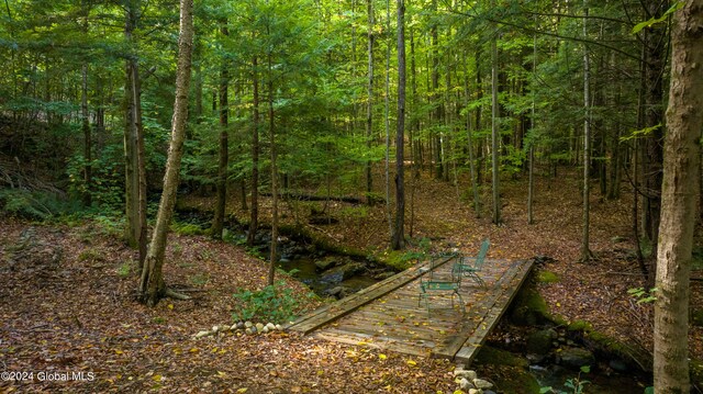 view of local wilderness