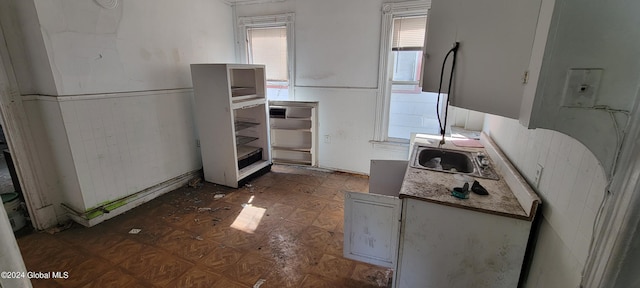 kitchen with a healthy amount of sunlight and sink