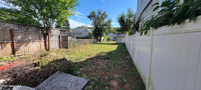 view of yard with a storage shed