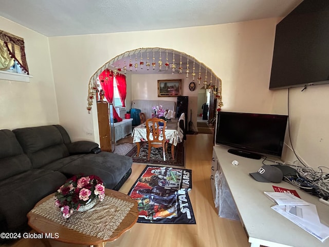 living room with hardwood / wood-style flooring