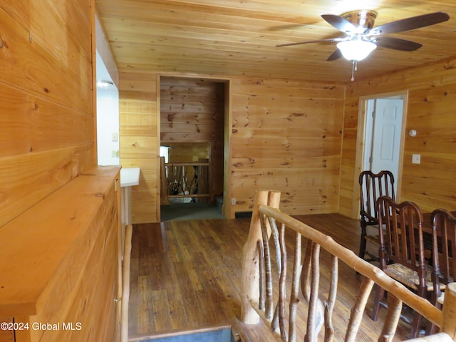 hall with wood walls, wooden ceiling, and dark wood-type flooring