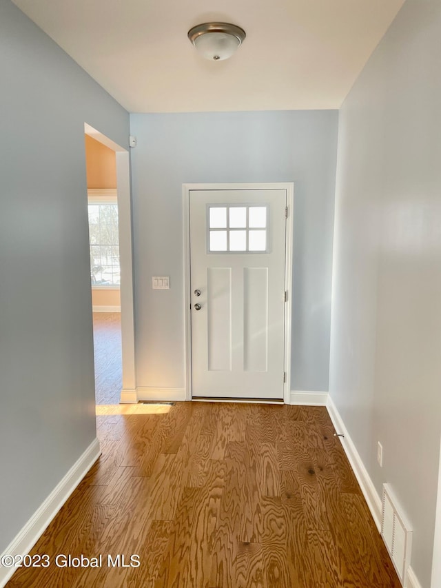 foyer featuring light wood-type flooring and plenty of natural light