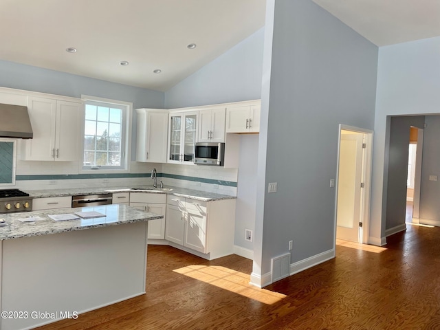 kitchen with white cabinets, light stone countertops, dark hardwood / wood-style flooring, and stainless steel appliances