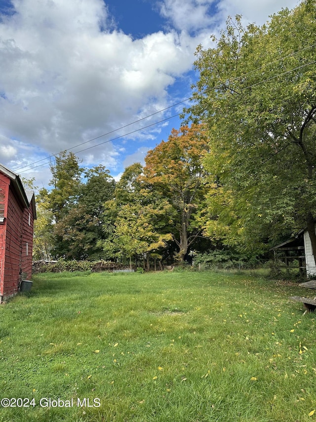 view of yard